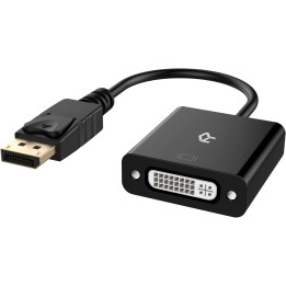 DisplayPort  vers DVI-D femelle Adaptateur