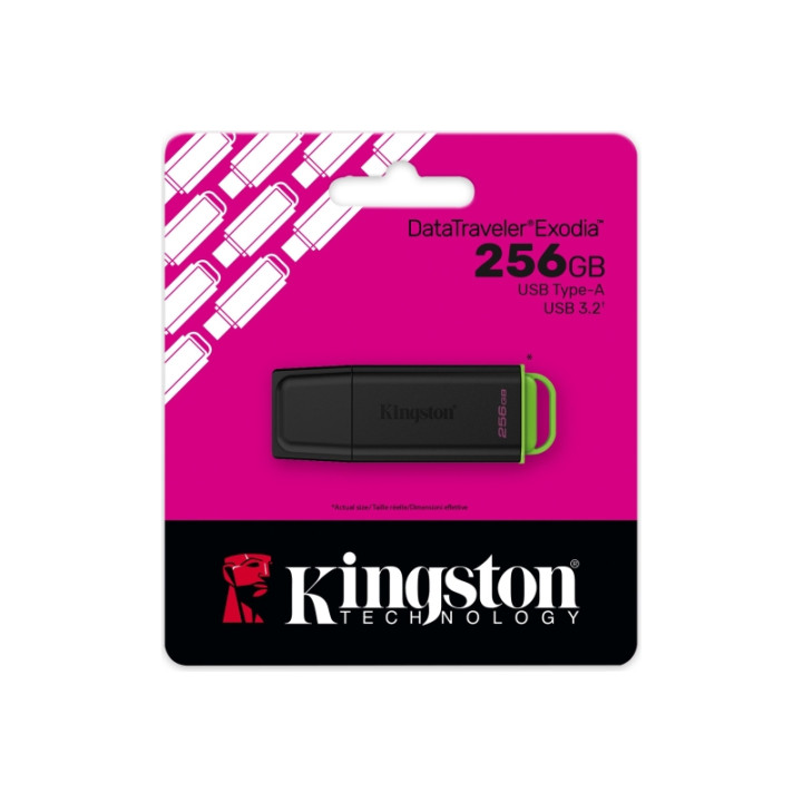 Clef 256go usb3.2 Kingston DTXG2/256GB DataTraveler Exodia