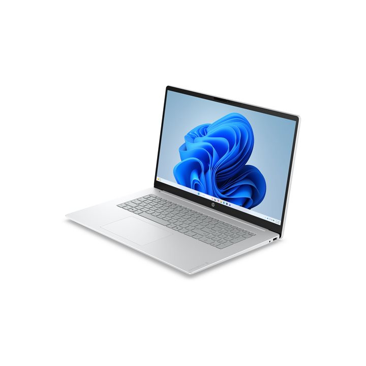 PC portable HP OmniBook 17,3" Ryzen 5 130 24 Go 512 Go | PC SARL