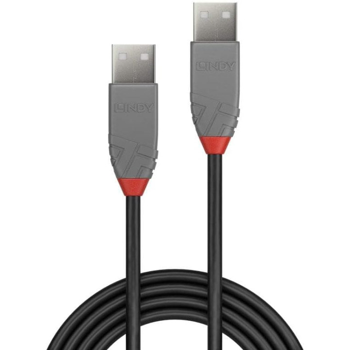 Cable USB A vers USB A beige 2m