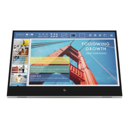 Ecran externe pour portable HP E14 G4 14p FHD 1920x1080 IPS USB-C