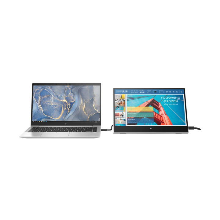 Ecran externe pour portable HP E14 G4 14p FHD 1920x1080 IPS USB-C